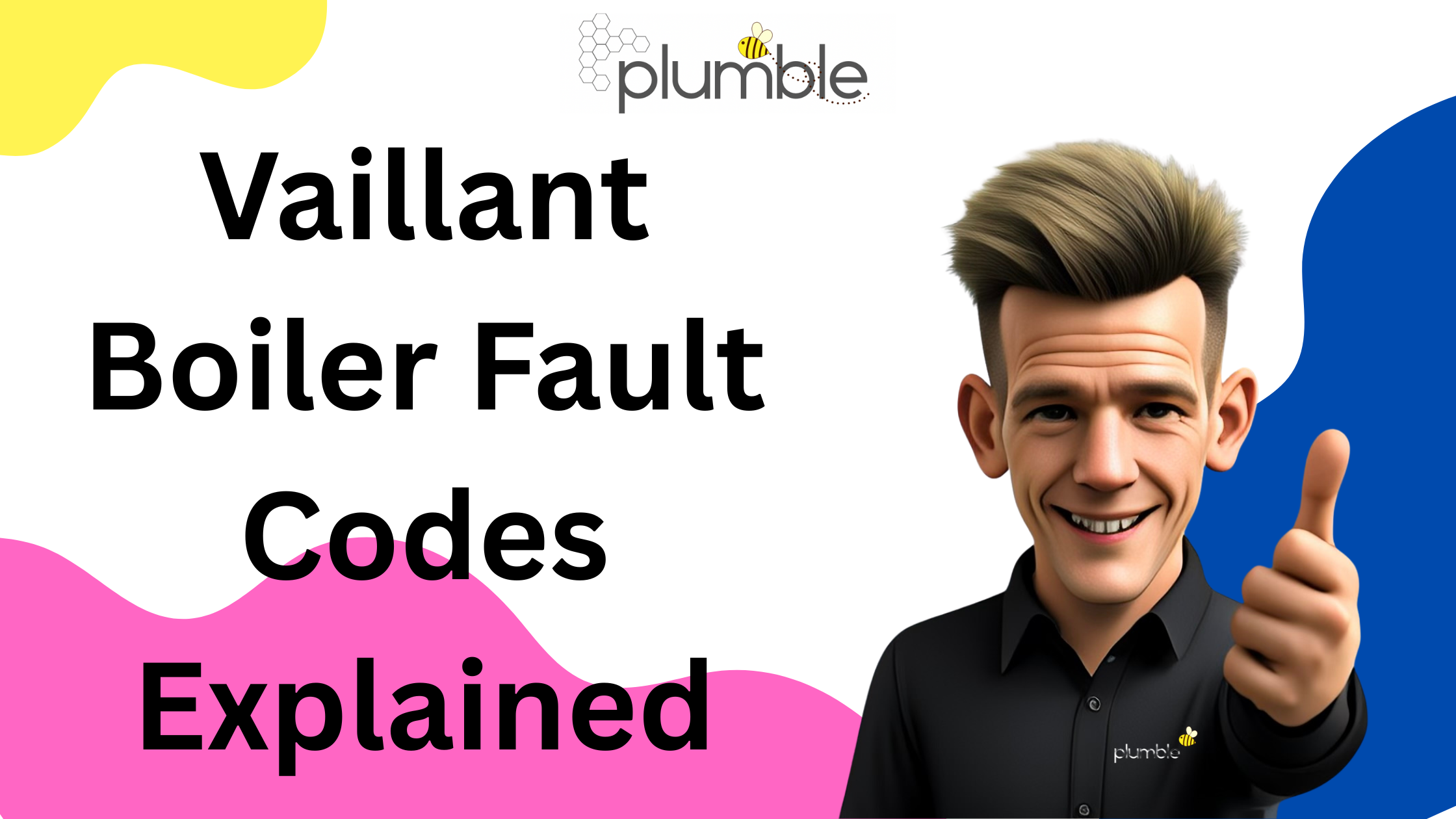 Vaillant Boiler Fault Codes Kent