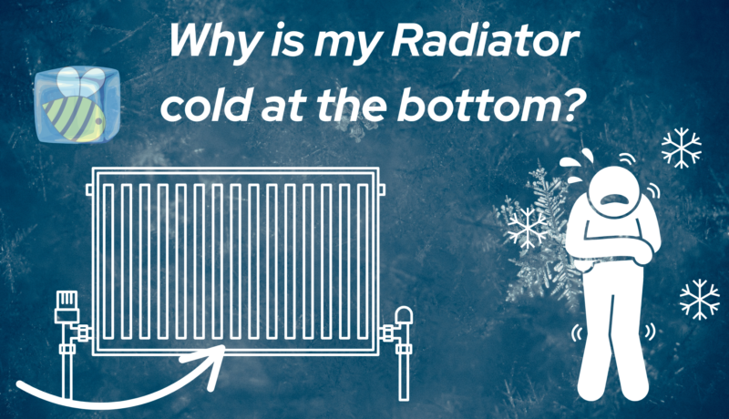 Why is my Radiator cold at the bottom?