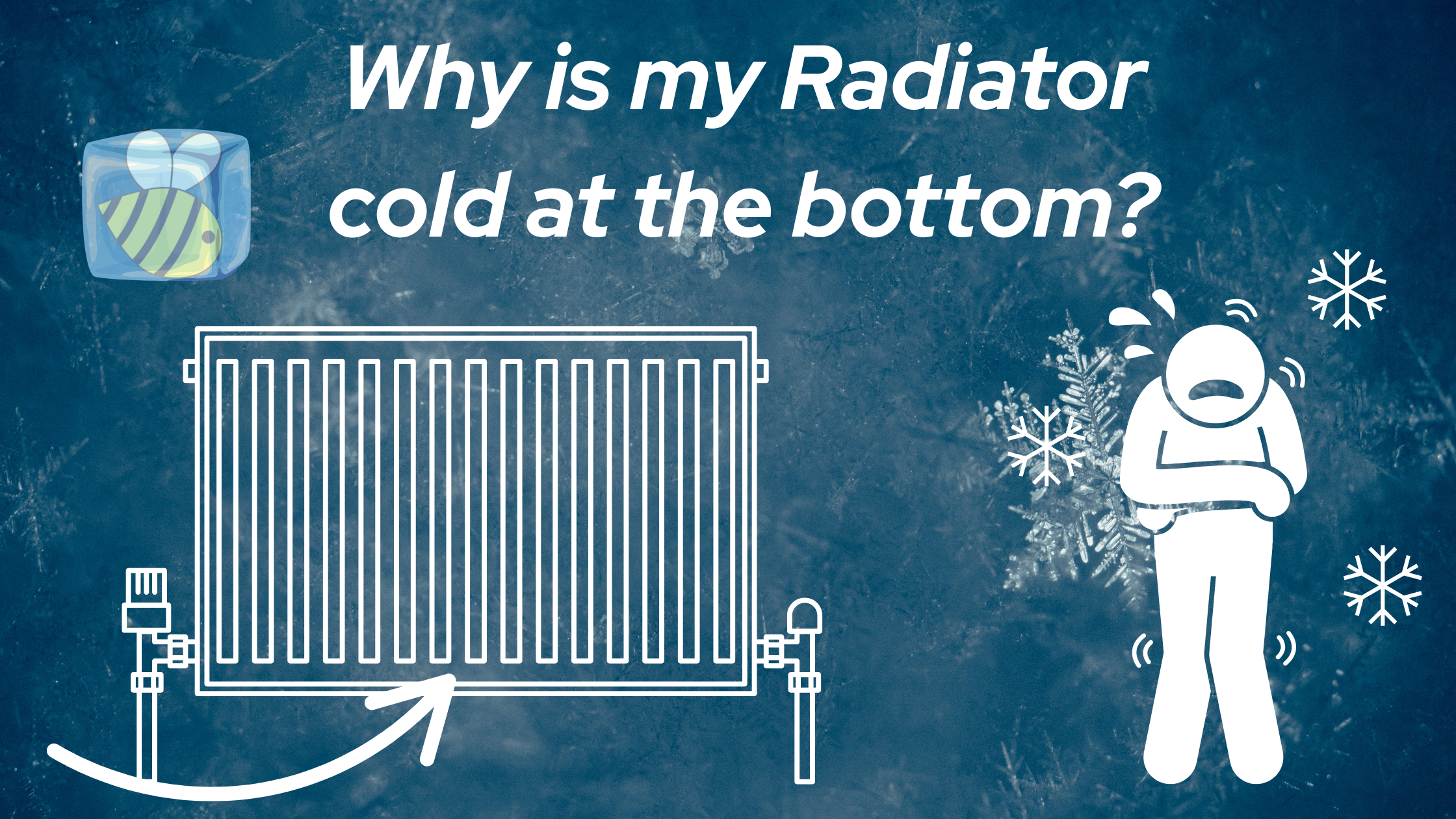 Why is my Radiator cold at the bottom?