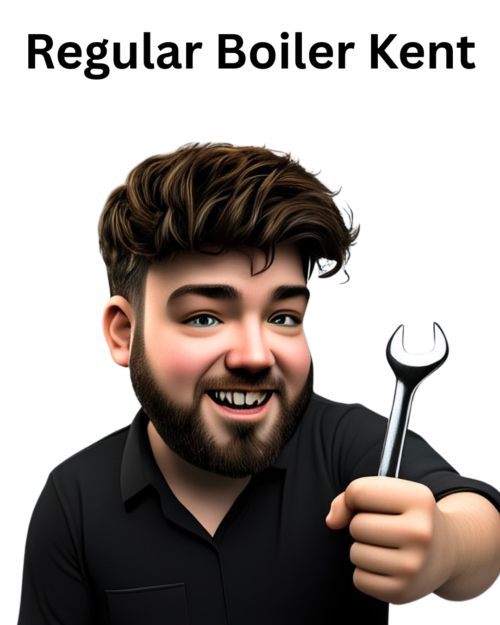 Best Regular Boiler